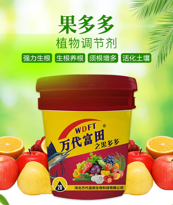 果多多-萬(wàn)代富田_01